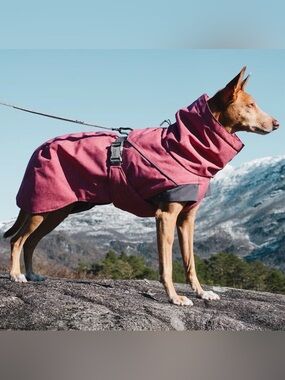 Hurtta NWT 35XL/14XL Expedition Parka Crimson Red Waterproof Dog Coat Reflective